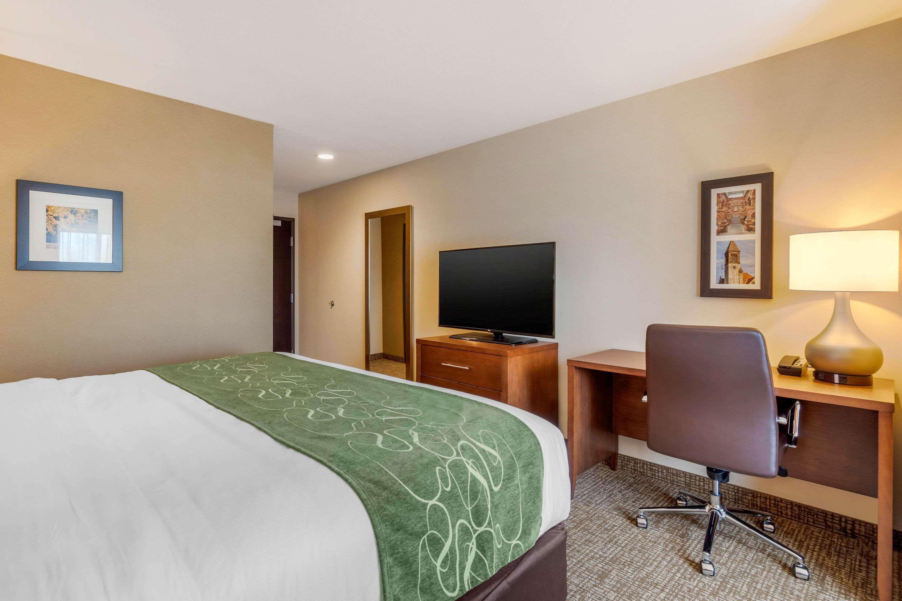 Comfort Inn & Suites Schenectady - Scotia Εξωτερικό φωτογραφία
