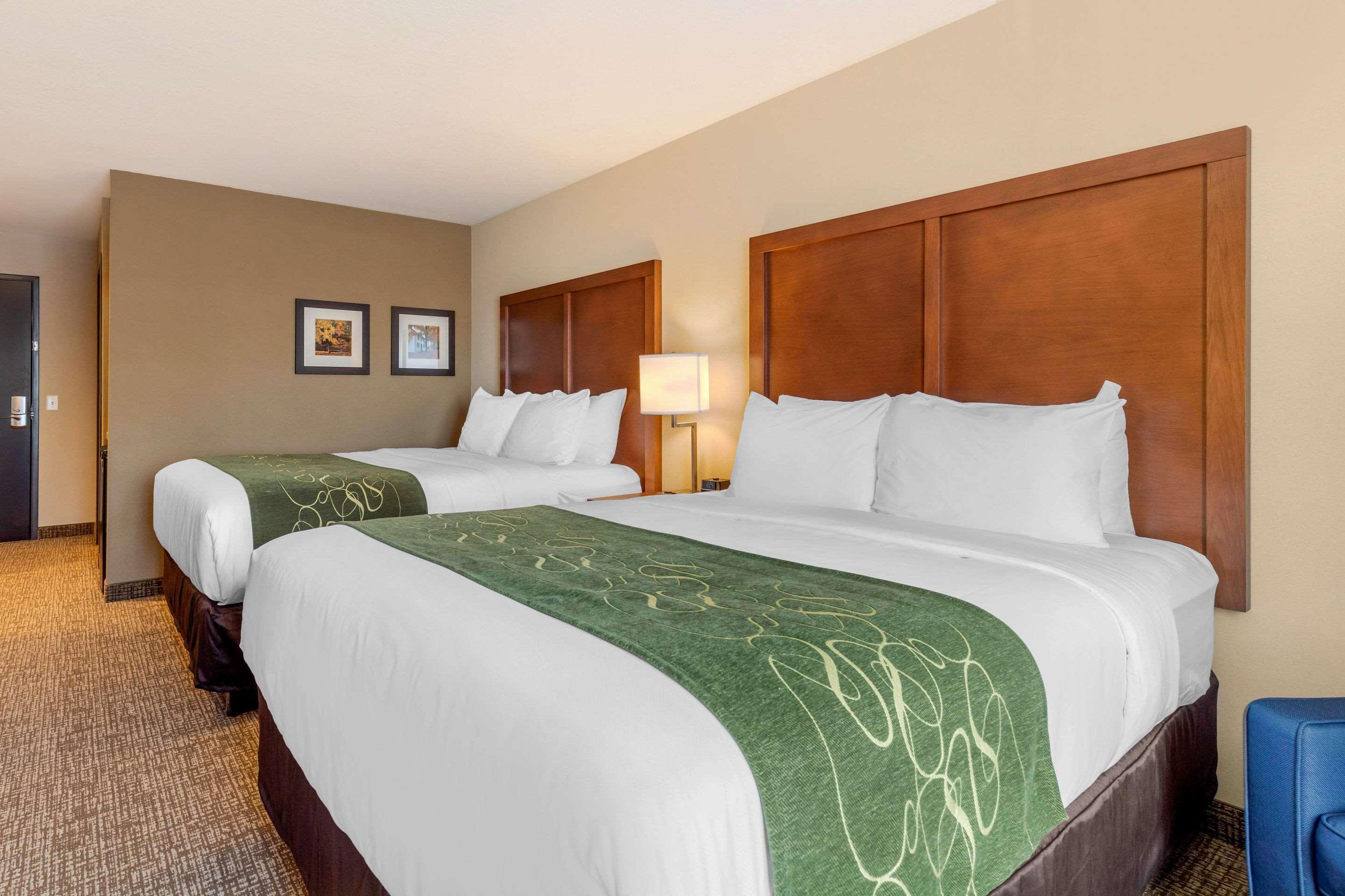 Comfort Inn & Suites Schenectady - Scotia Εξωτερικό φωτογραφία