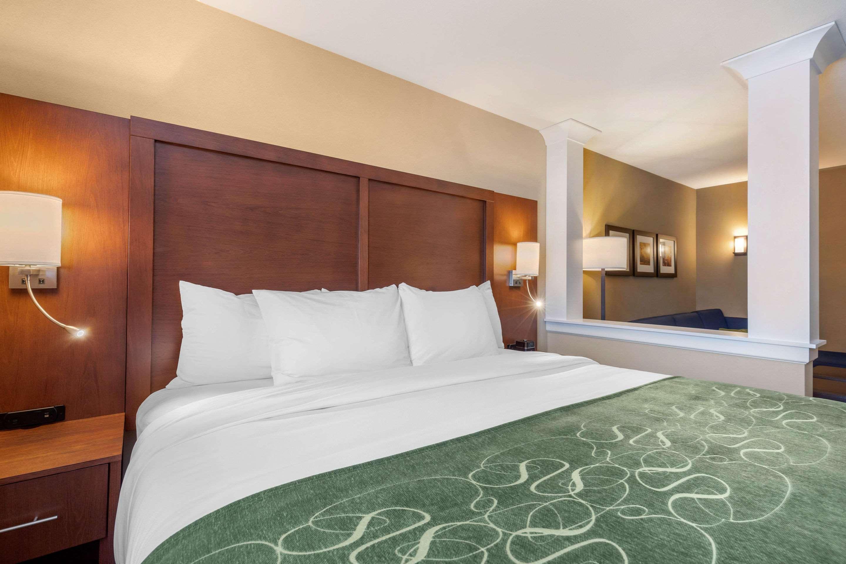 Comfort Inn & Suites Schenectady - Scotia Εξωτερικό φωτογραφία