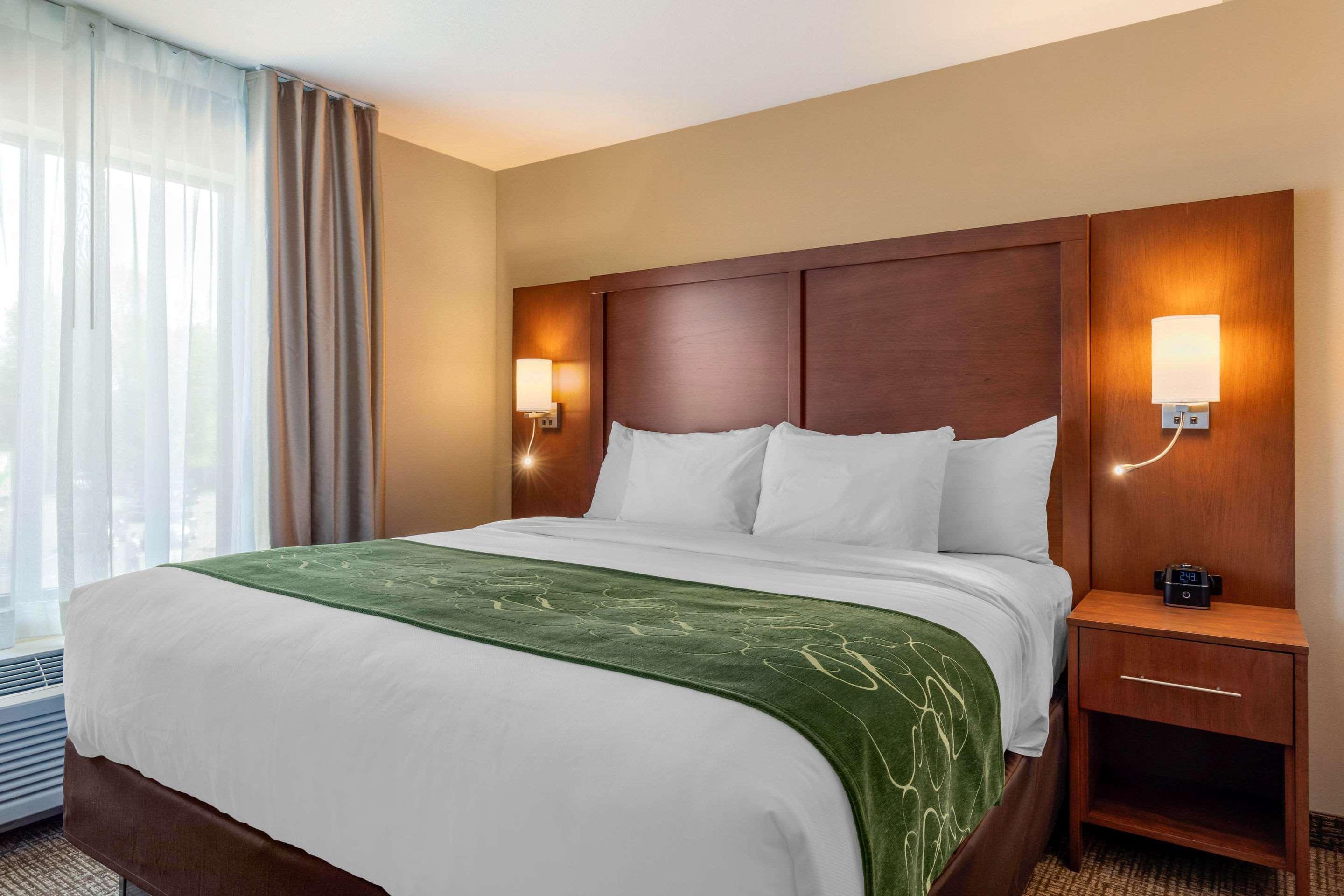 Comfort Inn & Suites Schenectady - Scotia Εξωτερικό φωτογραφία