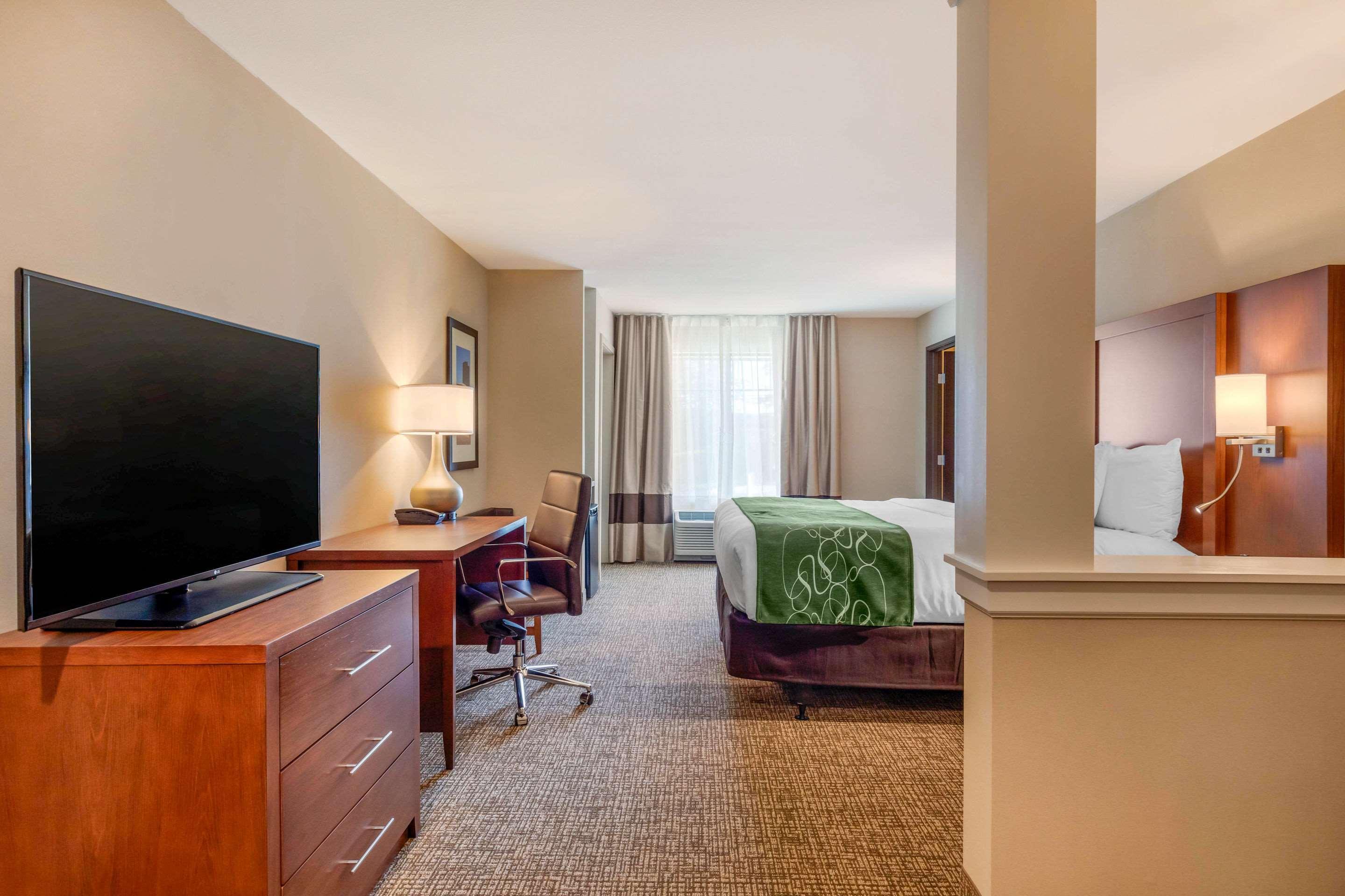 Comfort Inn & Suites Schenectady - Scotia Εξωτερικό φωτογραφία