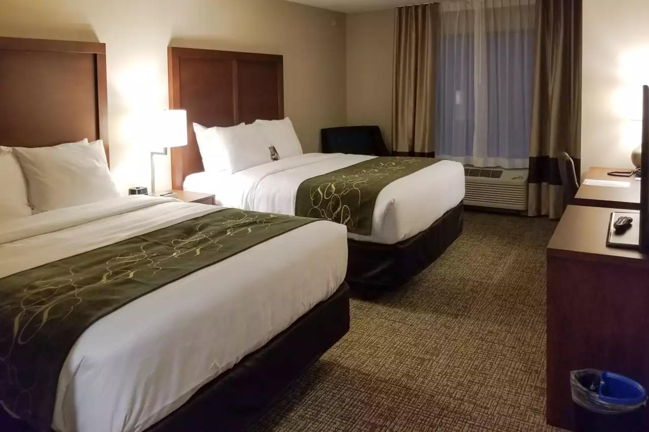 Comfort Inn & Suites Schenectady - Scotia Εξωτερικό φωτογραφία