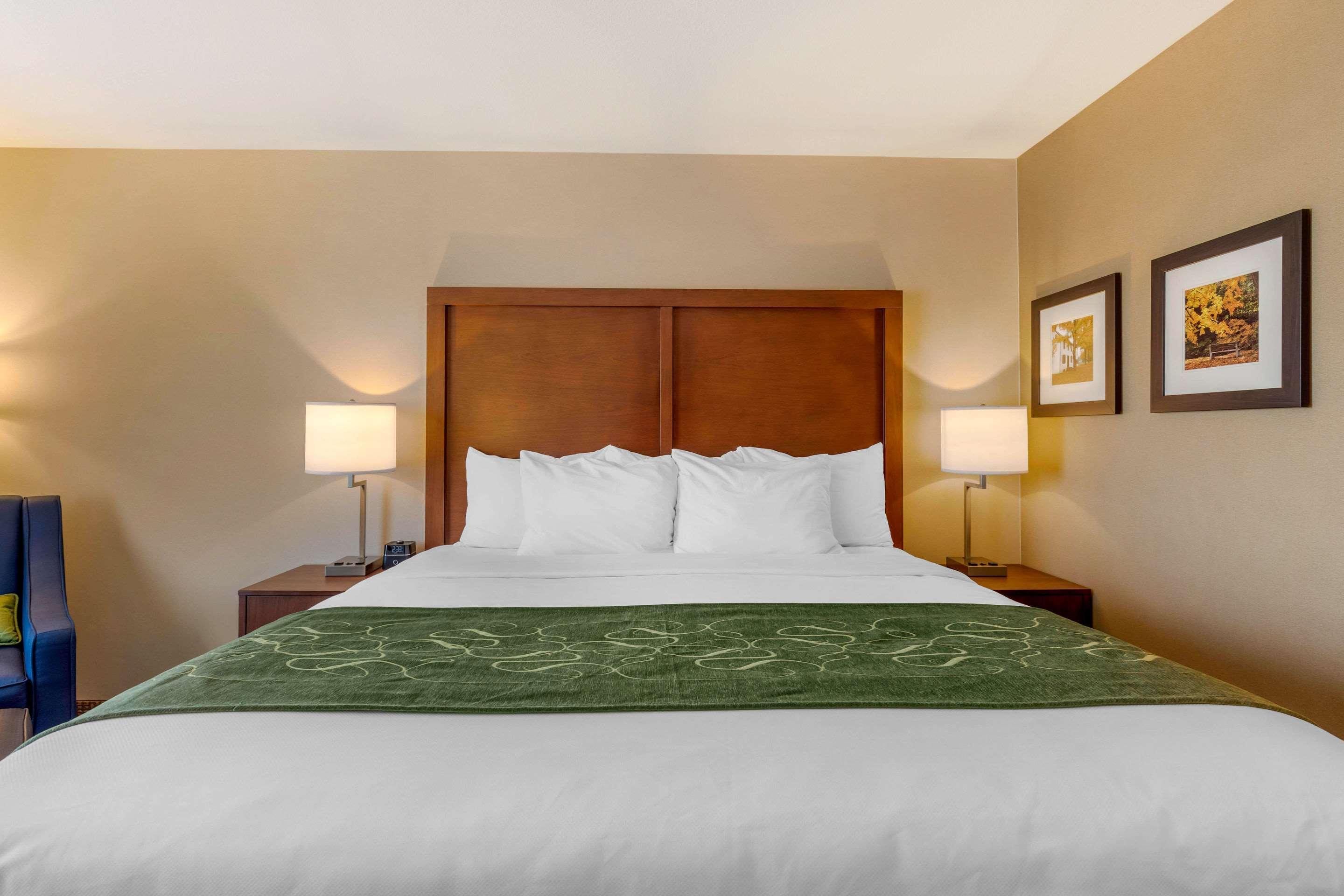 Comfort Inn & Suites Schenectady - Scotia Εξωτερικό φωτογραφία