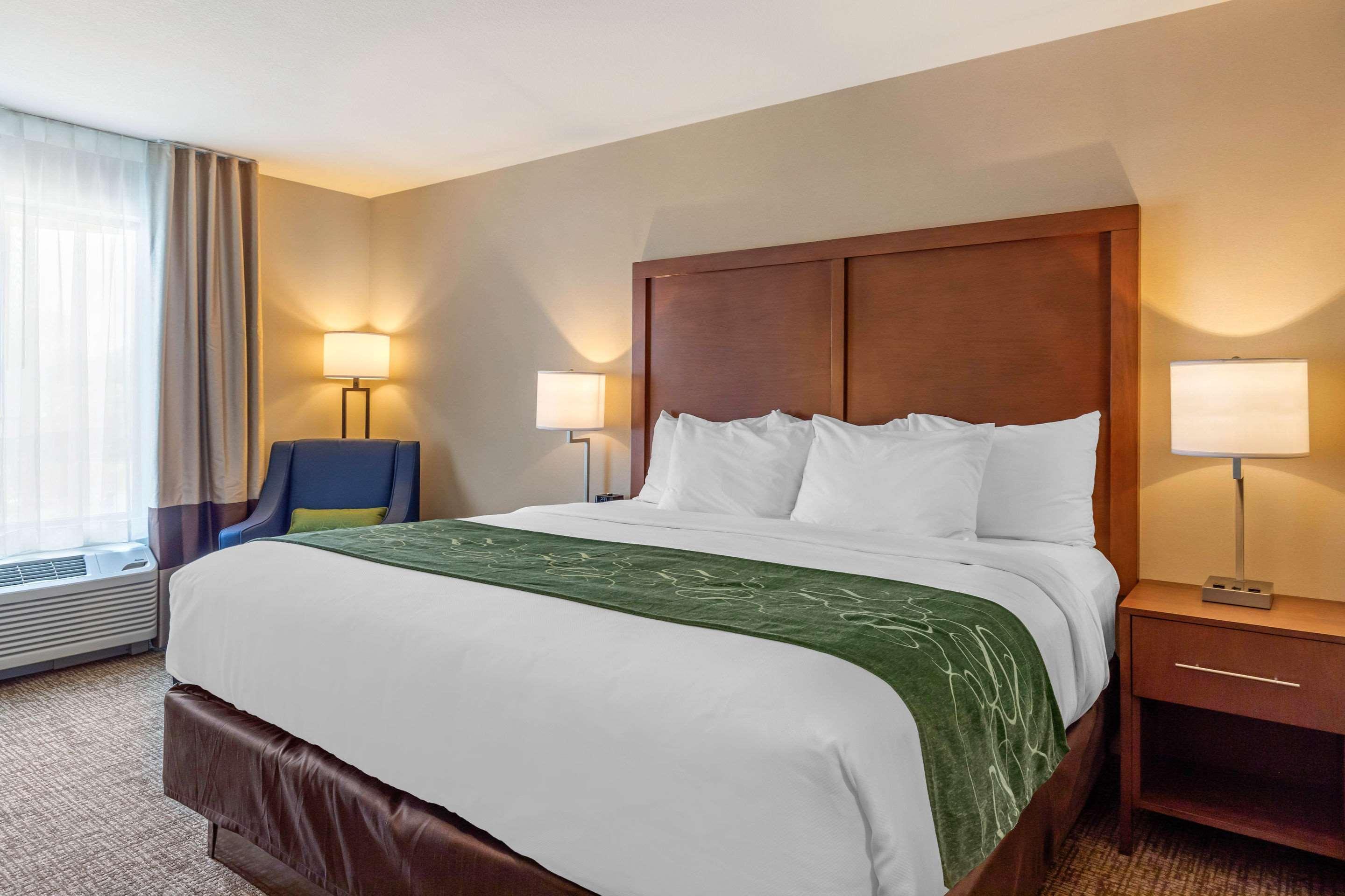 Comfort Inn & Suites Schenectady - Scotia Εξωτερικό φωτογραφία