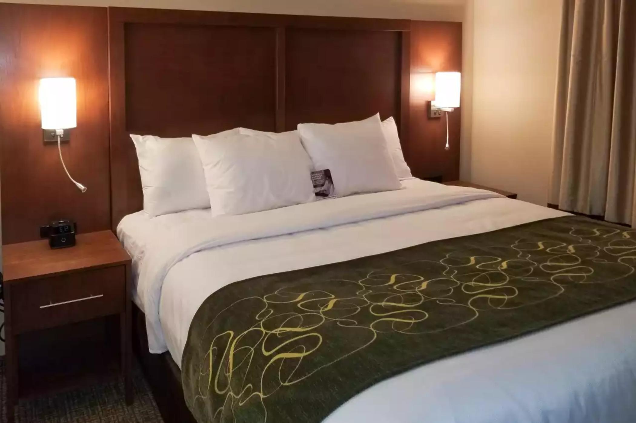 Comfort Inn & Suites Schenectady - Scotia Εξωτερικό φωτογραφία