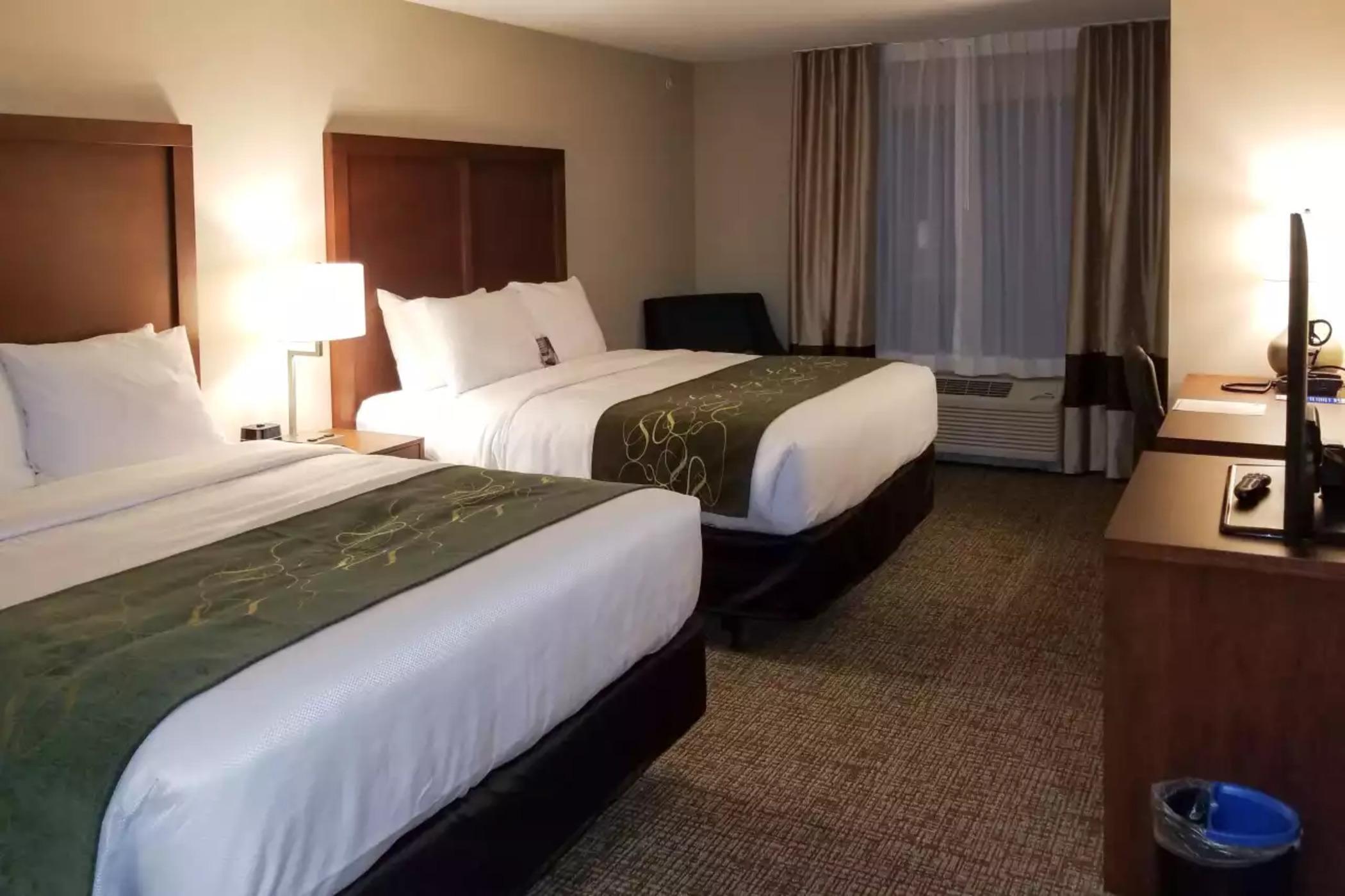 Comfort Inn & Suites Schenectady - Scotia Εξωτερικό φωτογραφία