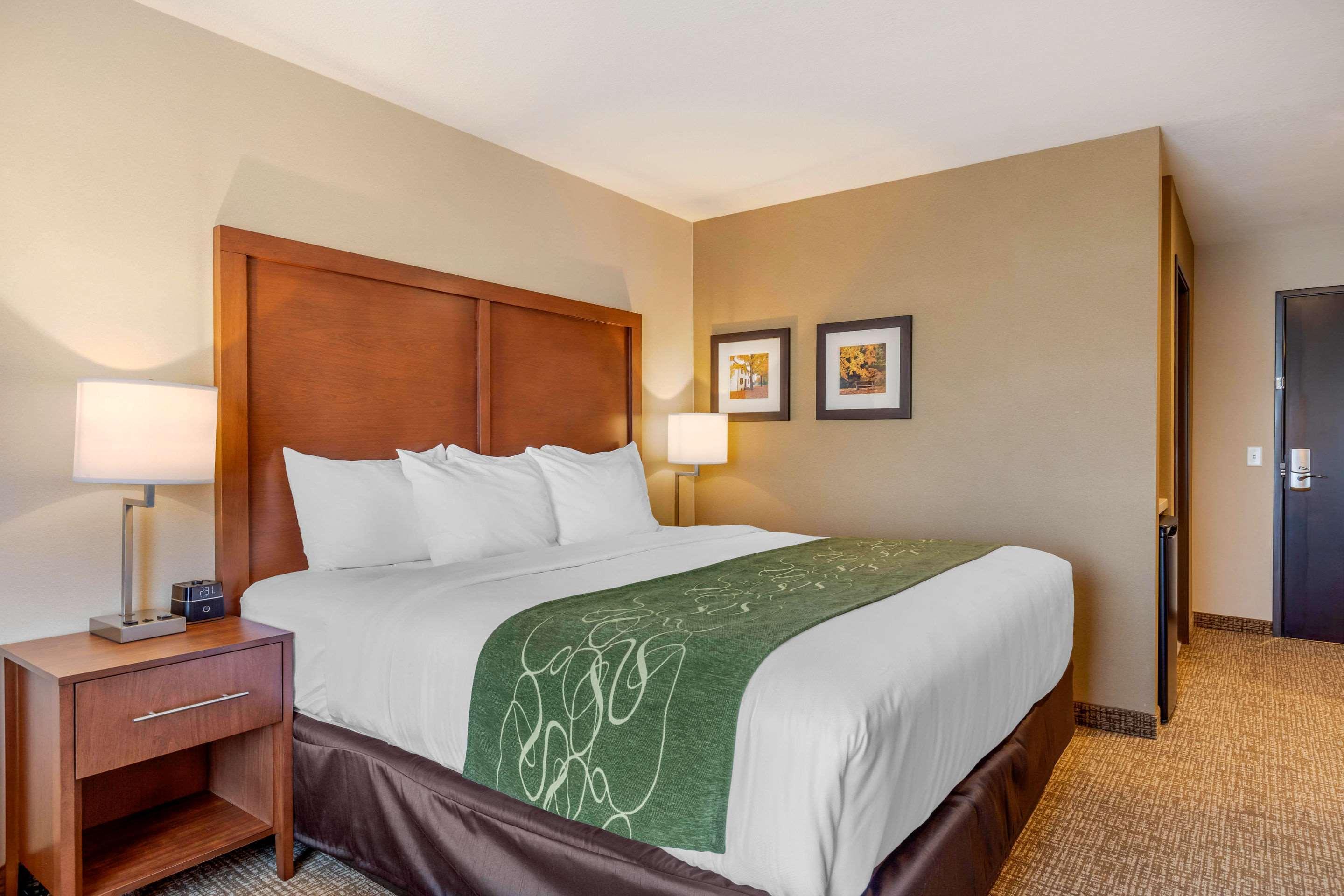 Comfort Inn & Suites Schenectady - Scotia Εξωτερικό φωτογραφία