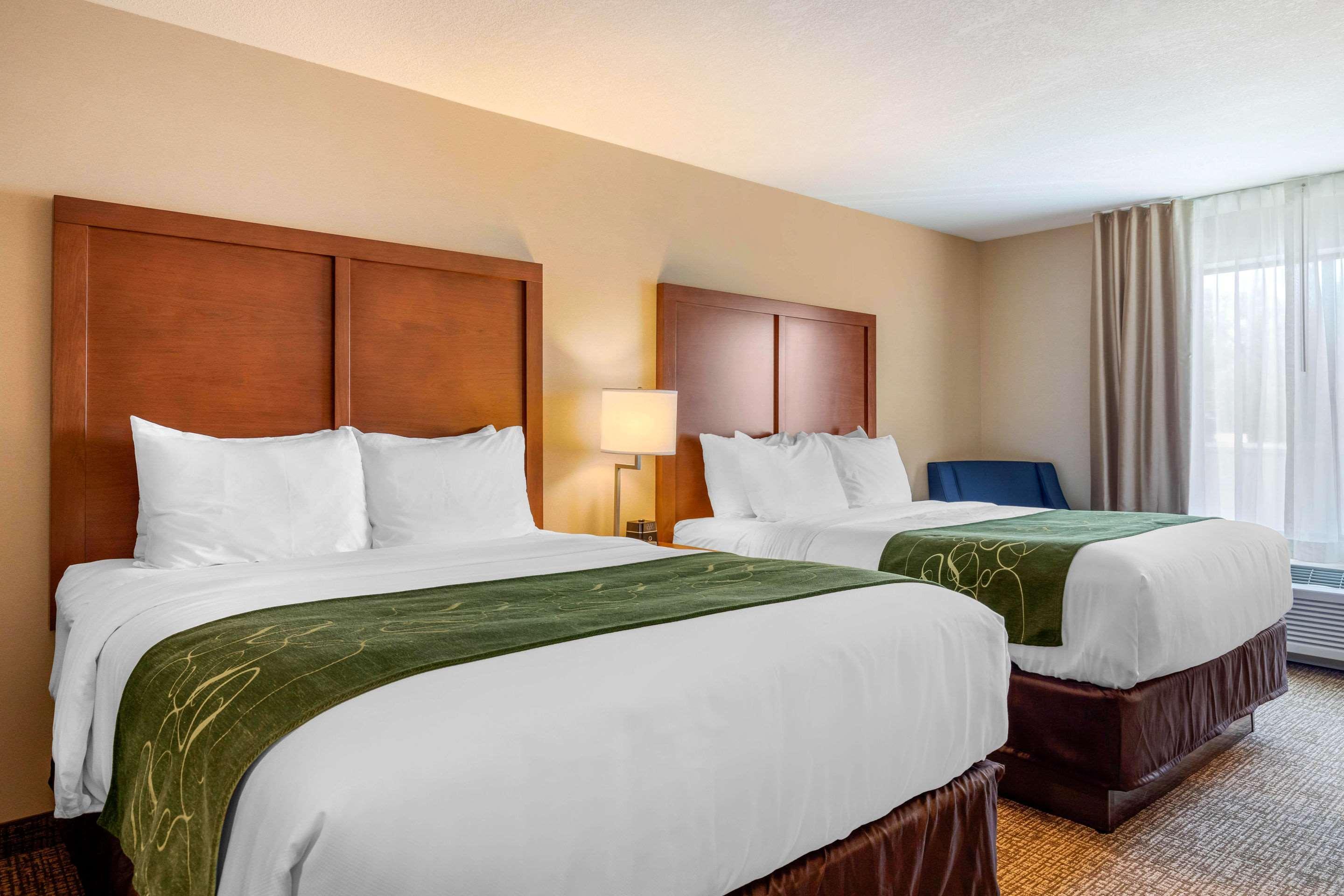 Comfort Inn & Suites Schenectady - Scotia Εξωτερικό φωτογραφία