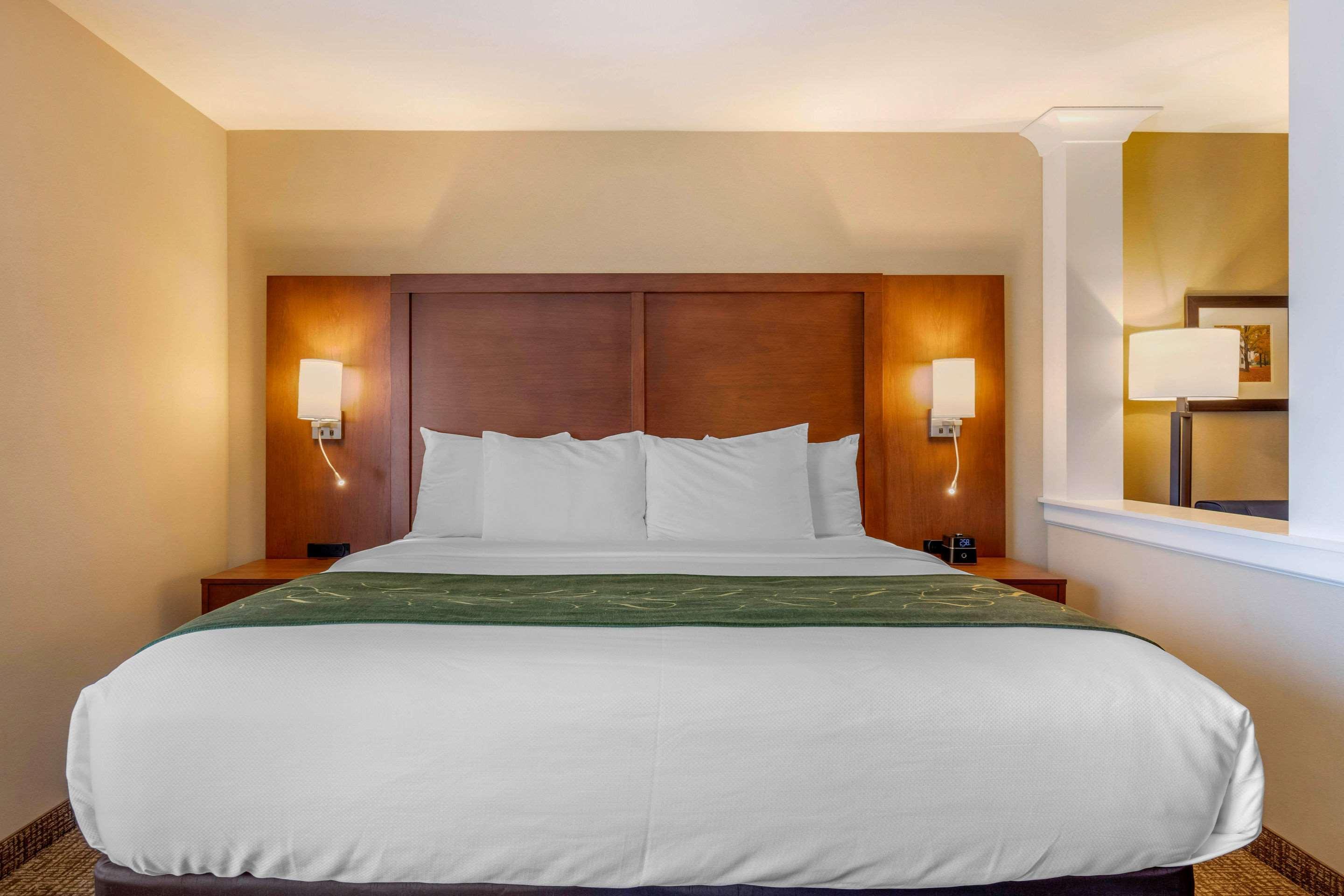 Comfort Inn & Suites Schenectady - Scotia Εξωτερικό φωτογραφία
