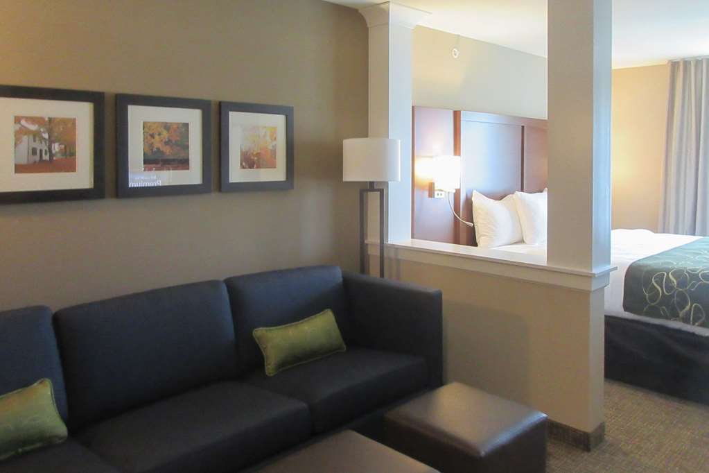 Comfort Inn & Suites Schenectady - Scotia Δωμάτιο φωτογραφία