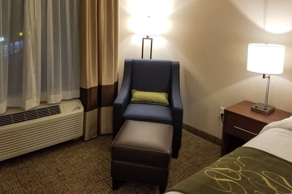 Comfort Inn & Suites Schenectady - Scotia Δωμάτιο φωτογραφία